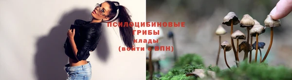 СК Абаза