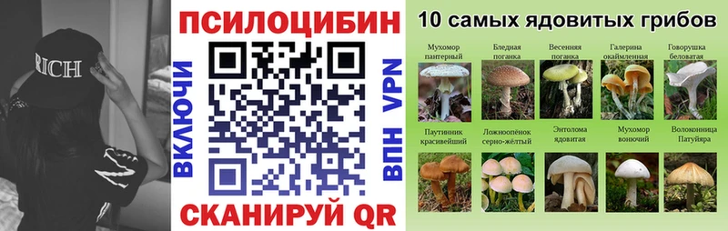 Галлюциногенные грибы прущие грибы Туринск